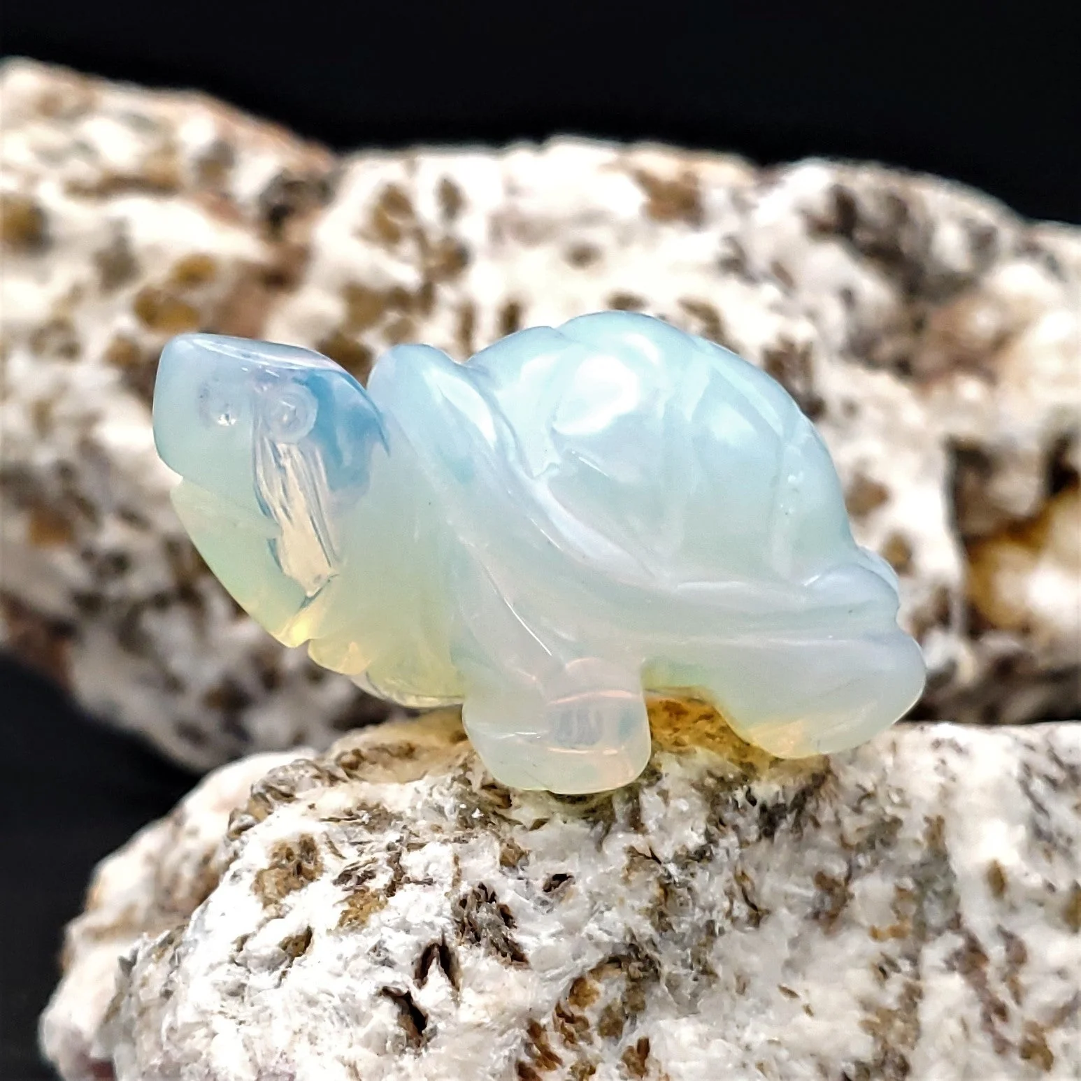 Carved Stone Animal Figurine 2-inch Mineral Turtle - Image 6