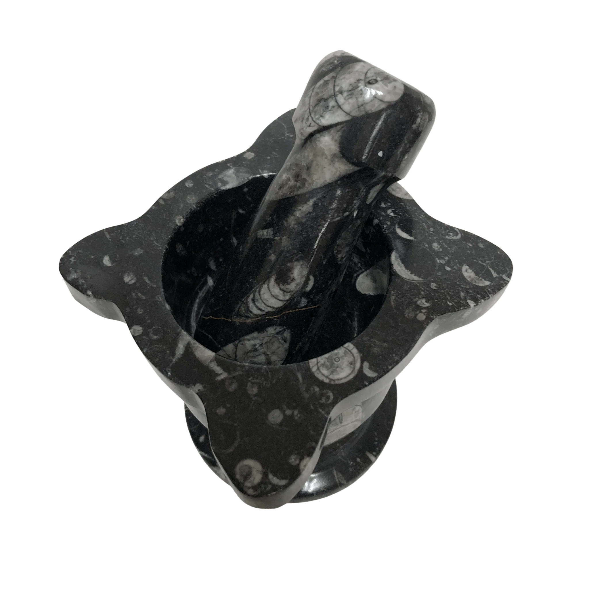 Mortar And Pestle Fossil Scalloped Top Black - Image 3